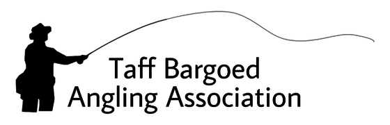 TBAA Logo